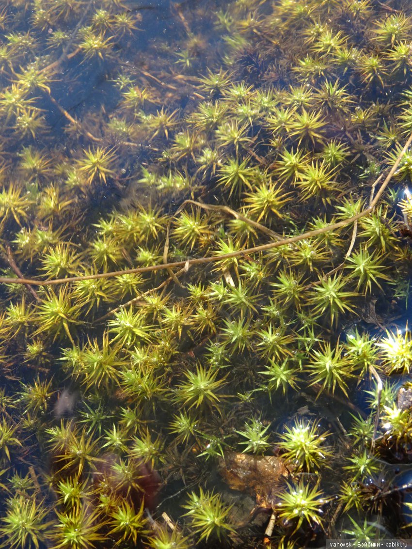 Последний звонок... Ура, каникулы! Здравствуй, лето