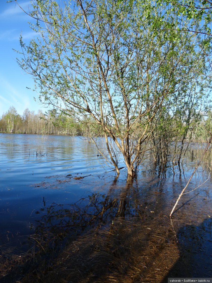 Последний звонок... Ура, каникулы! Здравствуй, лето