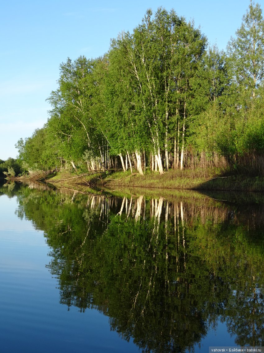 А у вас какое лето? Женька и её друзья