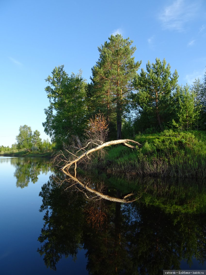 А у вас какое лето? Женька и её друзья