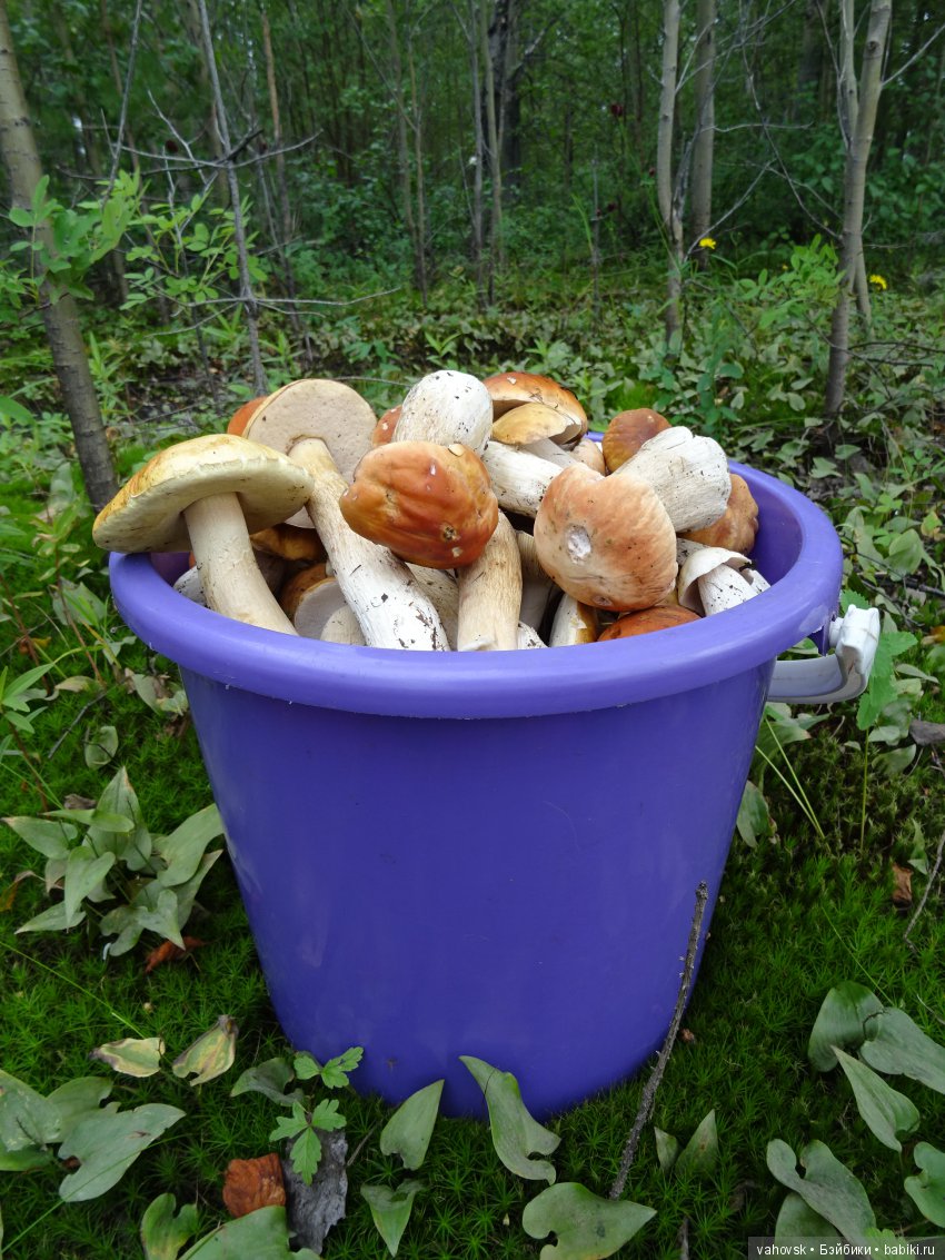 А у вас какое лето? Женька и её друзья