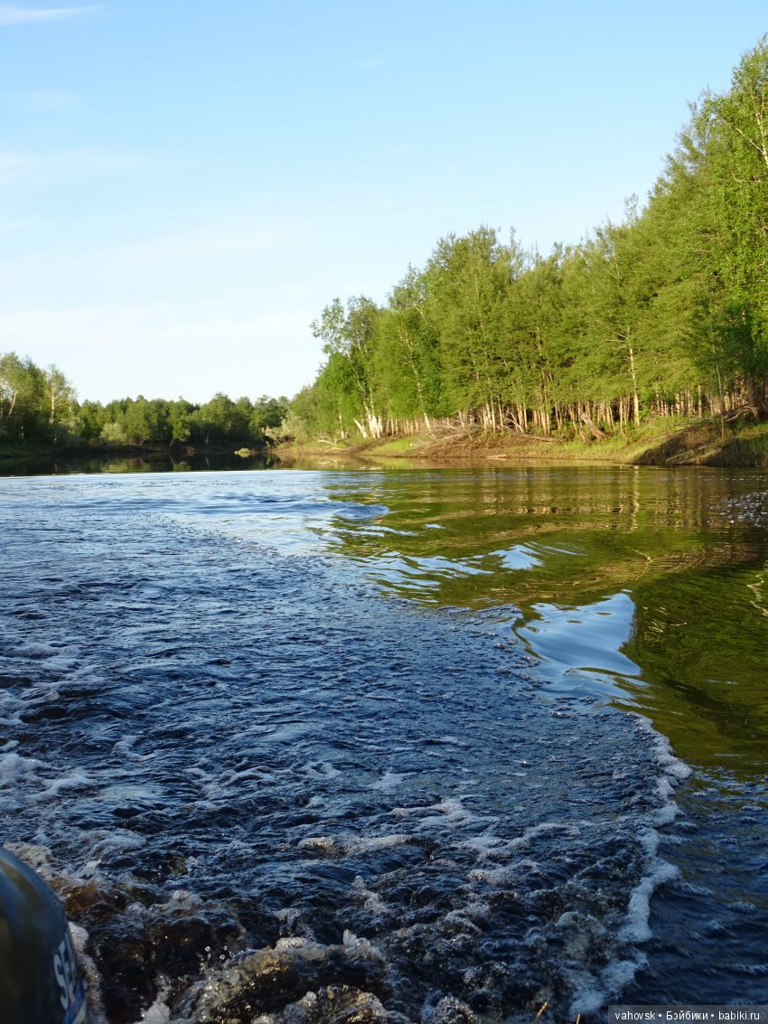 А у вас какое лето? Женька и её друзья