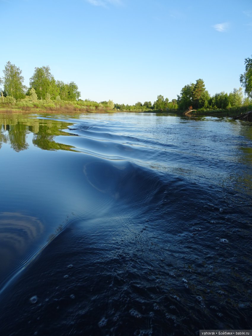 А у вас какое лето? Женька и её друзья