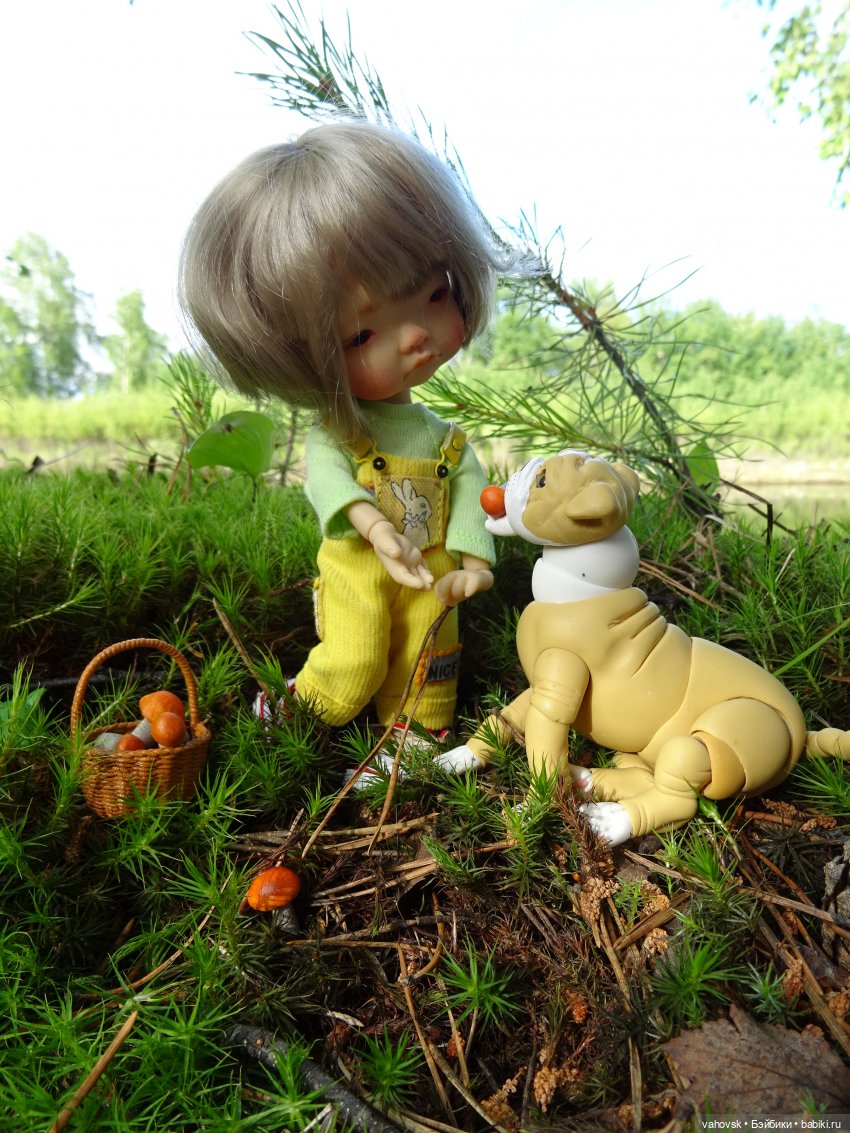 Давайте познакомимся — Куклы Irrealdoll (Ирреалдолл): BJD (БЖД)