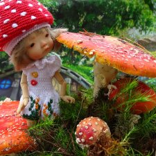 Где живут Мухоморчики?