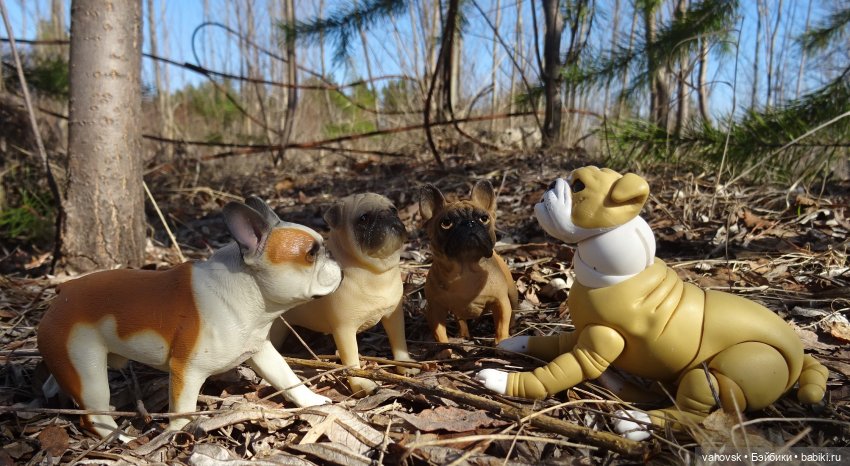 Композиция из весенних фото