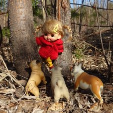 Композиция из весенних фото...