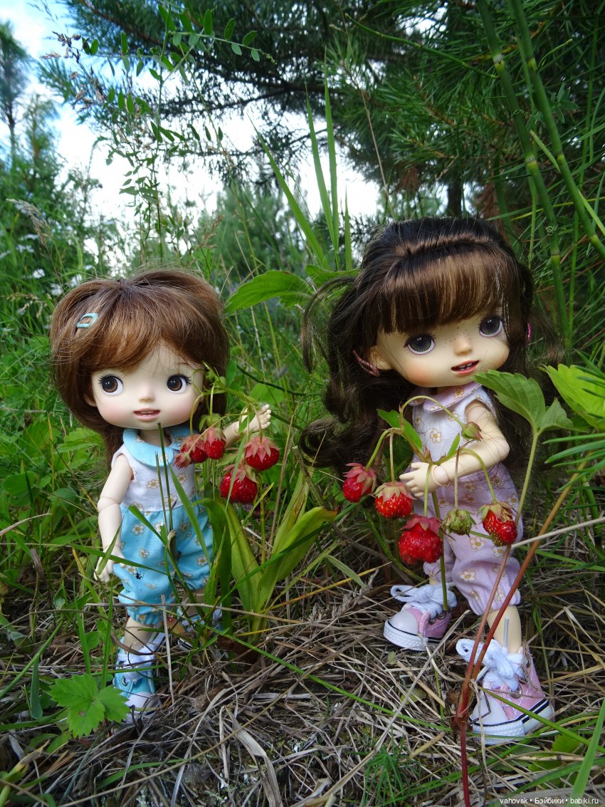 Из лета в осень — Куклы Irrealdoll (Ирреалдолл): BJD (БЖД)