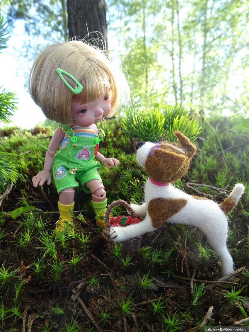 Из лета в осень — Куклы Irrealdoll (Ирреалдолл): BJD (БЖД)