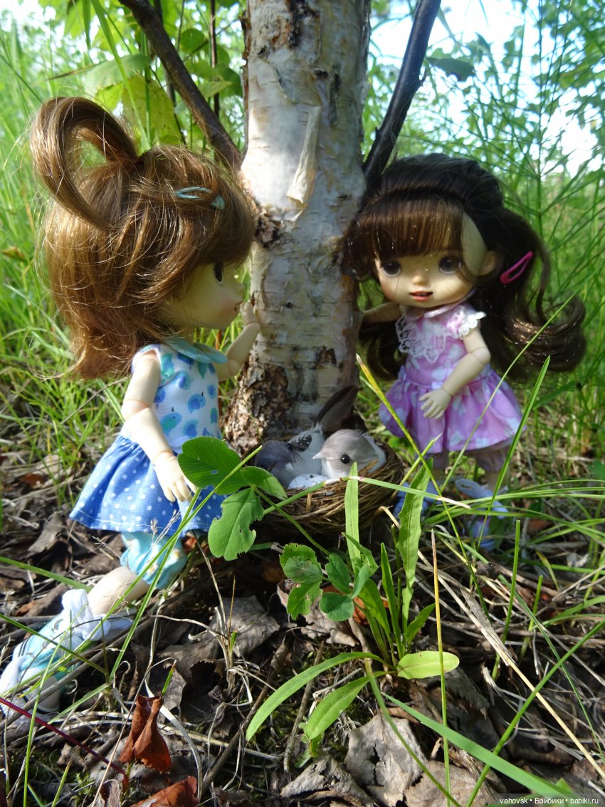 Из лета в осень — Куклы Irrealdoll (Ирреалдолл): BJD (БЖД)