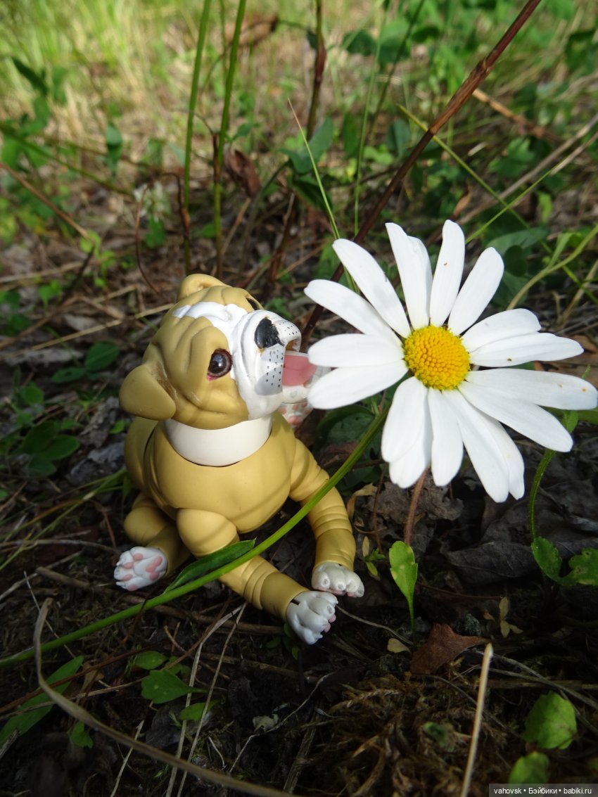 Из лета в осень — Куклы Irrealdoll (Ирреалдолл): BJD (БЖД)