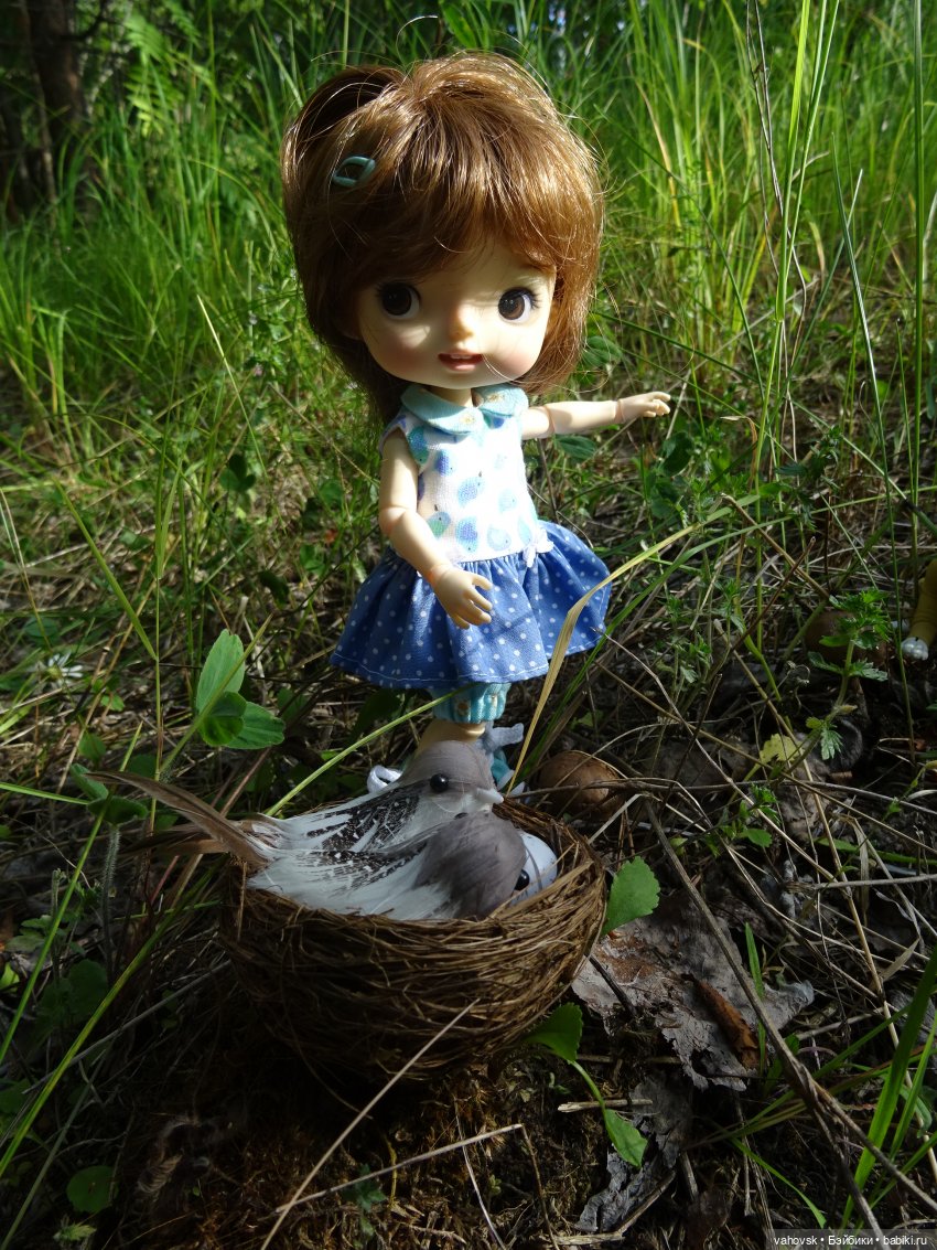 Из лета в осень — Куклы Irrealdoll (Ирреалдолл): BJD (БЖД)