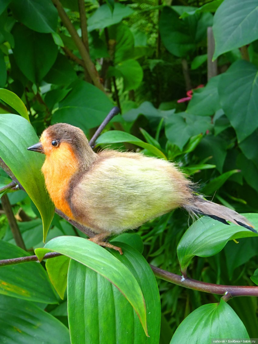 Из лета в осень — Куклы Irrealdoll (Ирреалдолл): BJD (БЖД)