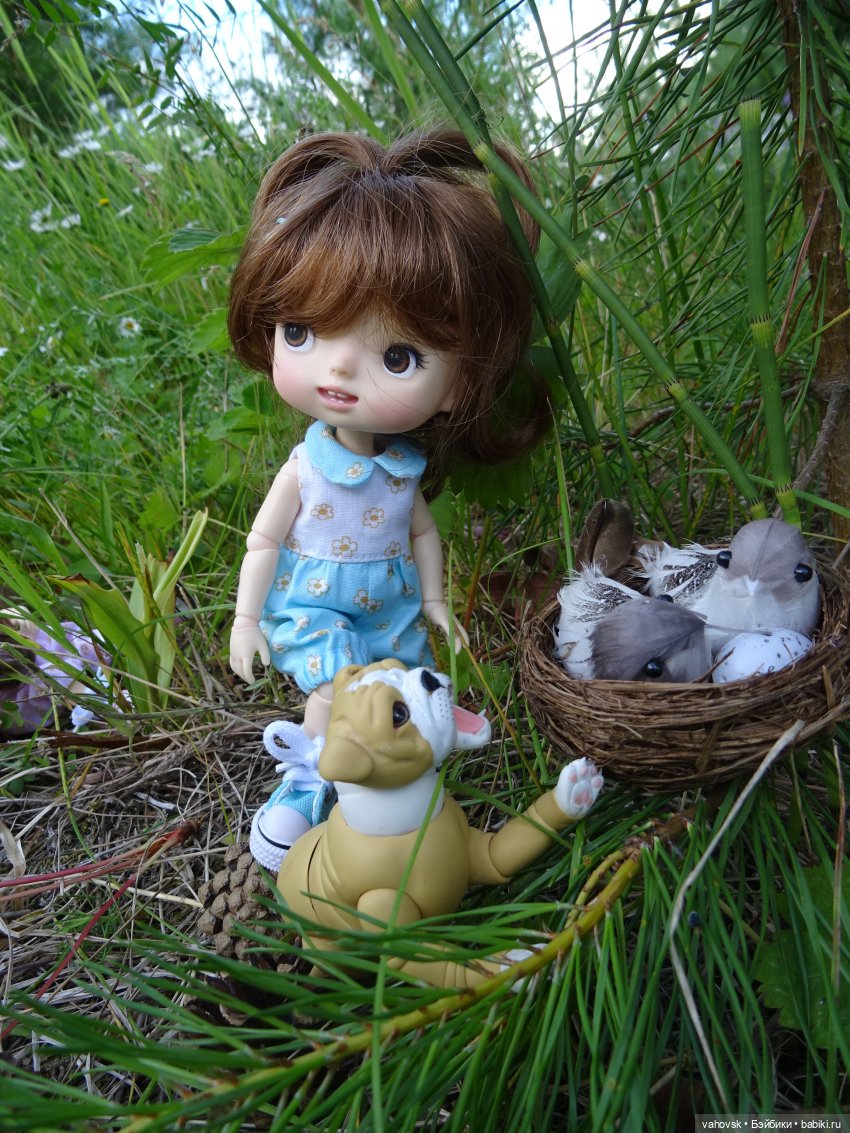 Из лета в осень — Куклы Irrealdoll (Ирреалдолл): BJD (БЖД)