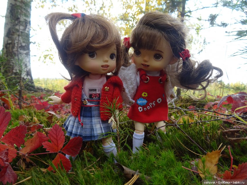 Из лета в осень... продолжение. Осень