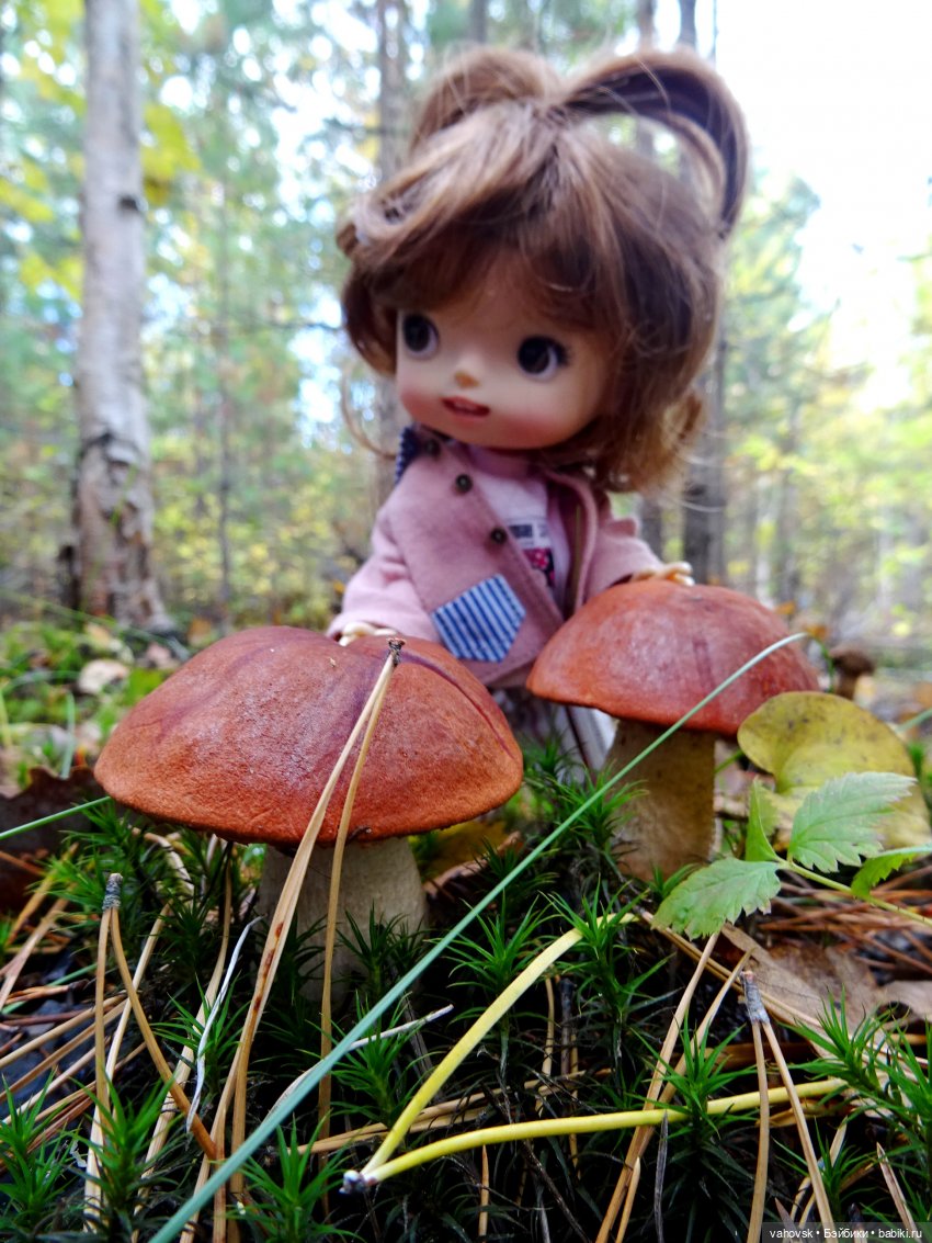 Из лета в осень... продолжение. Осень