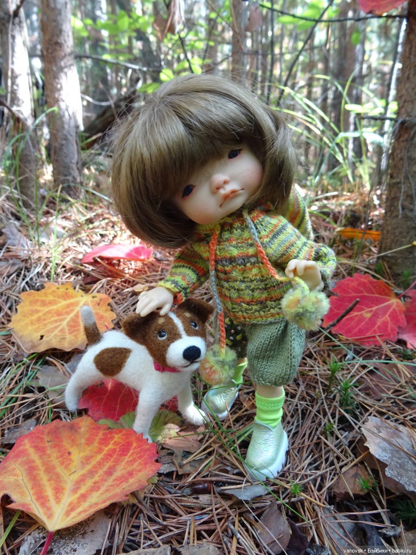 Из лета в осень... продолжение. Осень (фото 10)