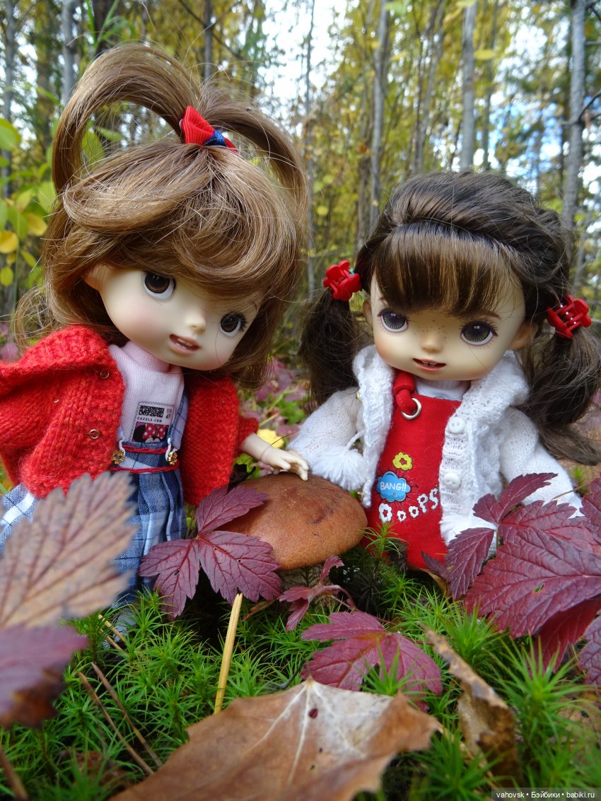 Из лета в осень... продолжение. Осень