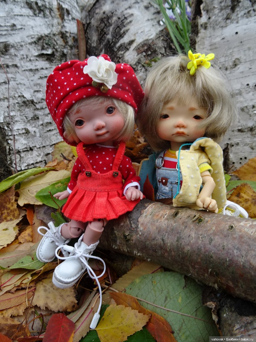 Из лета в осень... продолжение. Осень (фото 8)