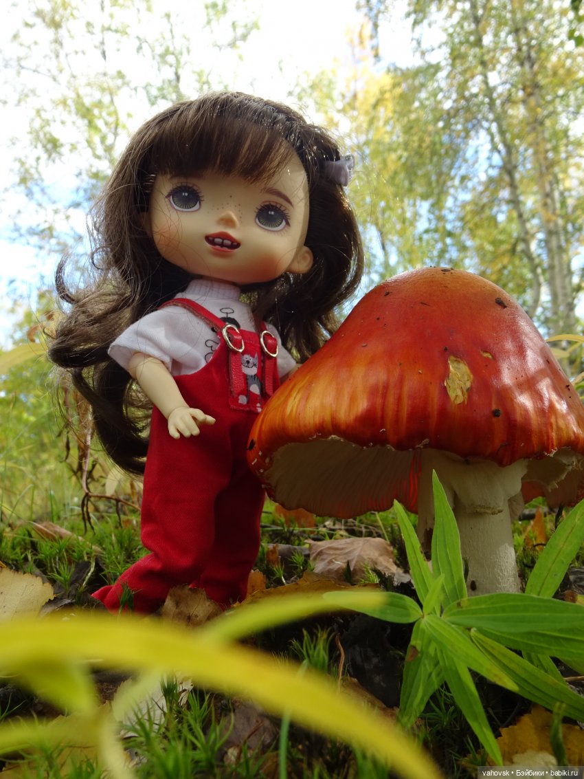 Из лета в осень... продолжение. Осень