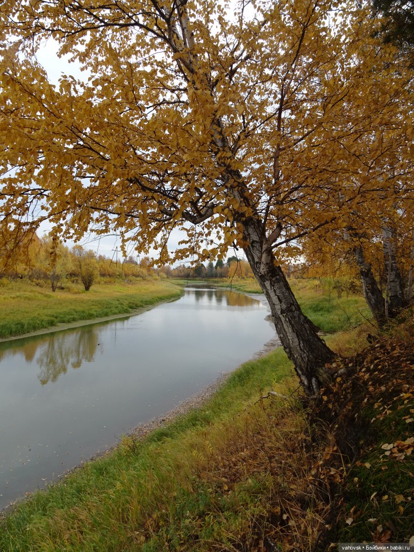 Из лета в осень... продолжение. Осень