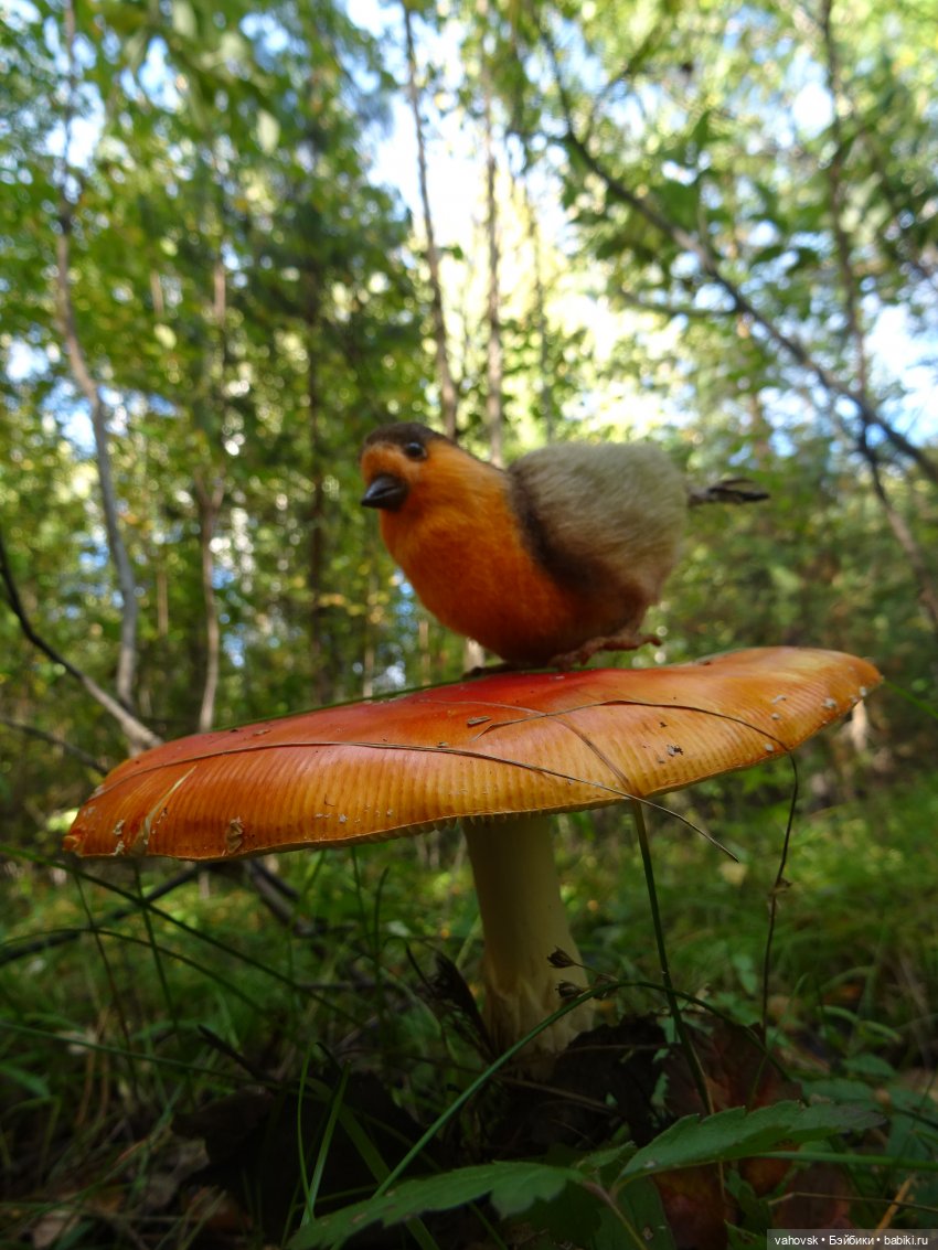 Из лета в осень... продолжение. Осень