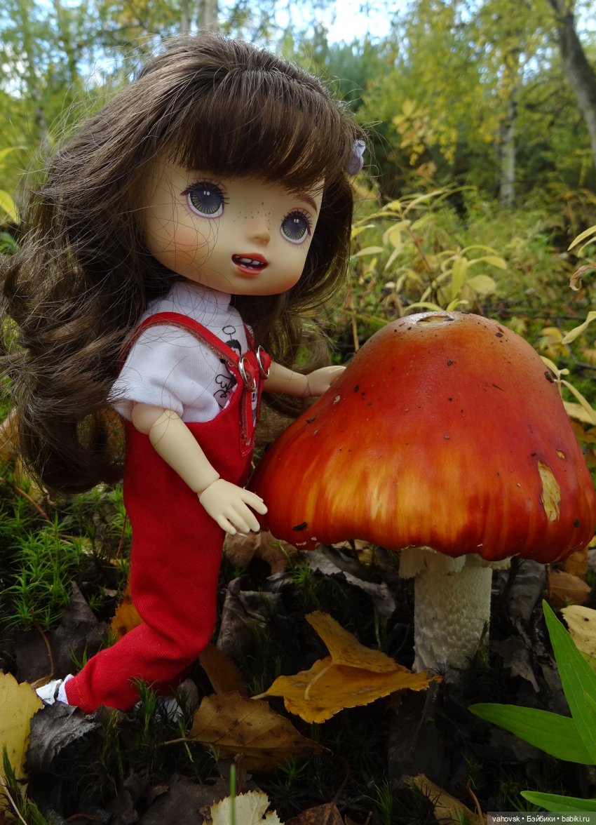 Из лета в осень... продолжение. Осень