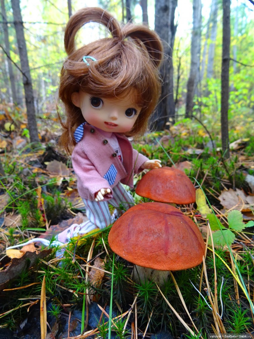 Из лета в осень... продолжение. Осень