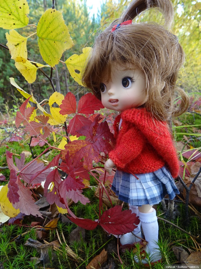 Из лета в осень... продолжение. Осень