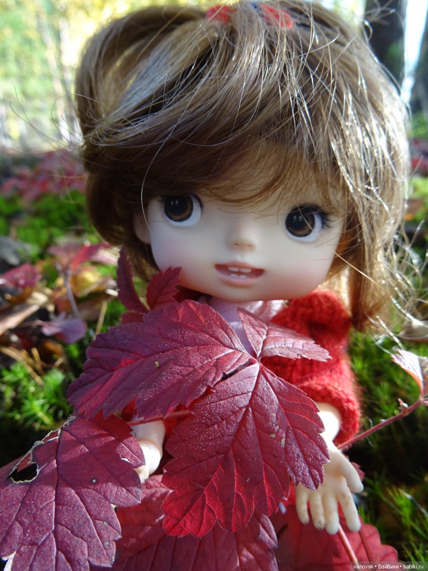 Из лета в осень... продолжение. Осень