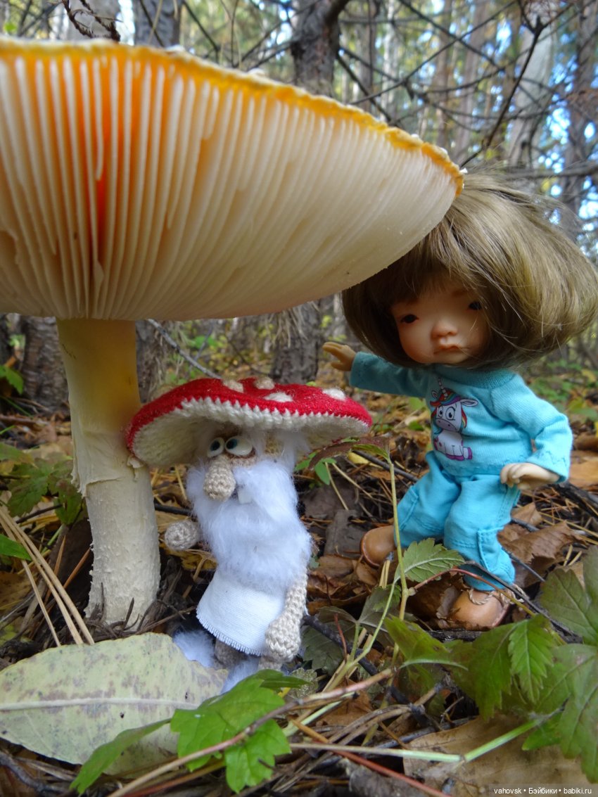 Из лета в осень... продолжение. Осень