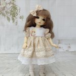 Наряд для кукол Littlefee (25 см)