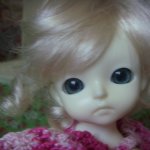 Снежка - новенькая )