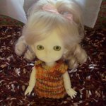 Снежкино новоселье