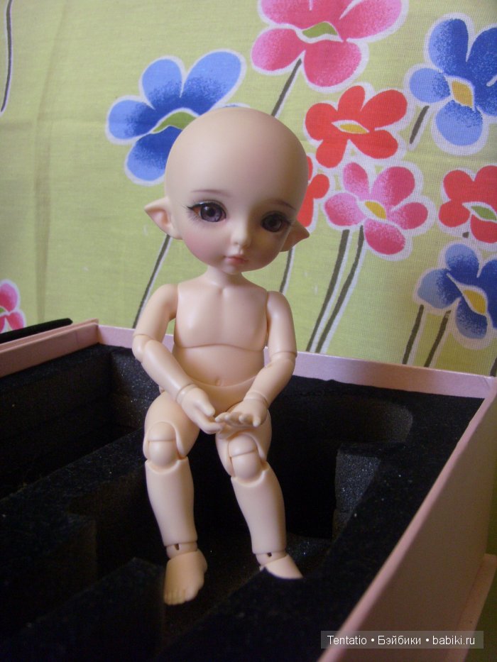 Пока просто Зойка. Pukifee, Zoe