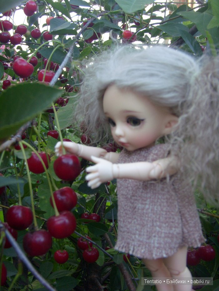 пукифи, pukifee, Zoe, Fairyland