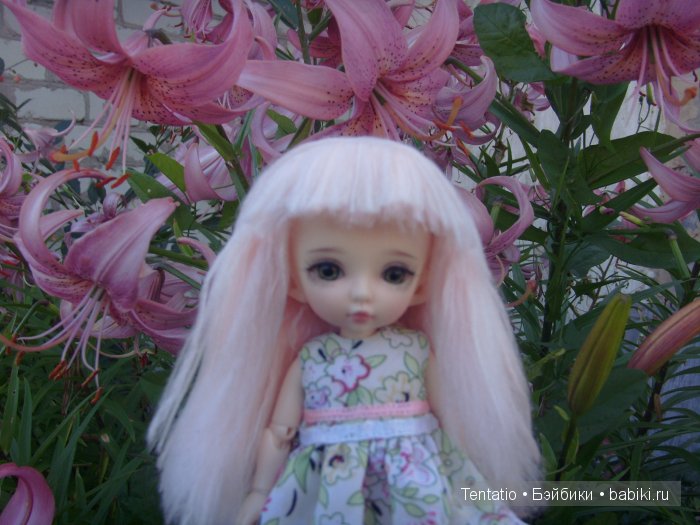 пукифи, pukifee, Zoe, Fairyland