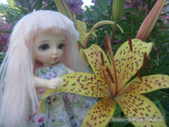 пукифи, pukifee, Zoe, Fairyland