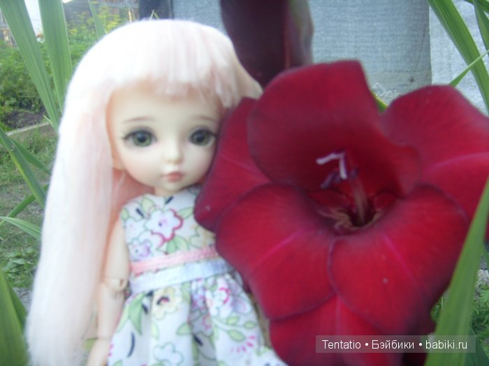 пукифи, pukifee, Zoe, Fairyland