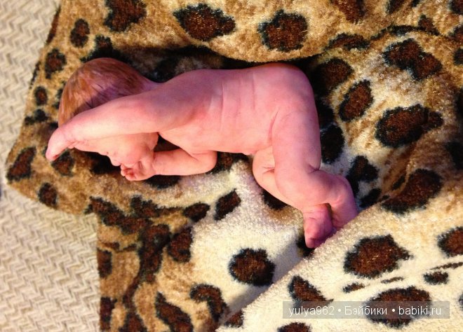 Очередная малышка из пластики (фото 10)