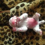 Маленький щенок из пластики Living Doll