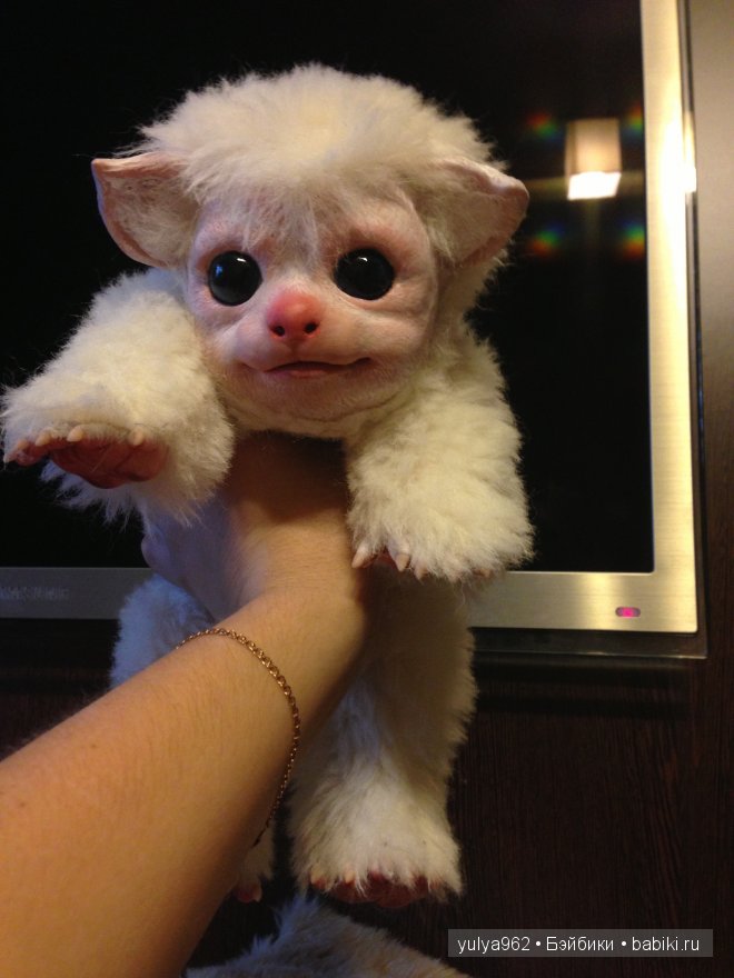 Зиг ООАК — Игрушки в смешанной технике (мех и глина): Арт