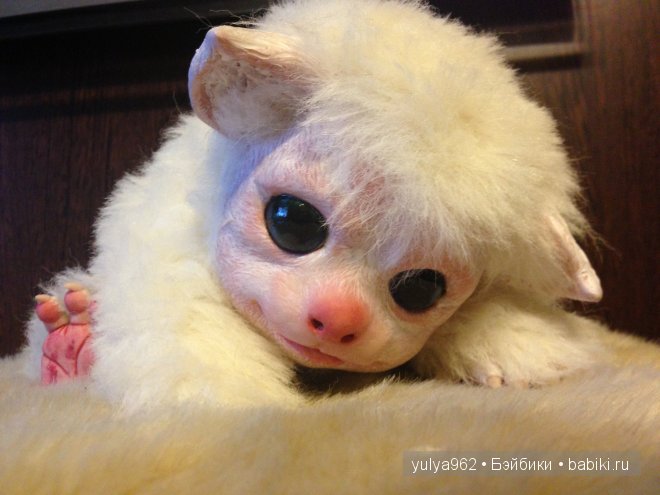 Зиг ООАК — Игрушки в смешанной технике (мех и глина): Арт (фото 8)