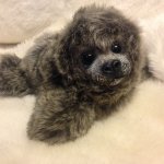 Мася. Авторская игрушка