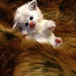 Перчик. Авторская игрушка.