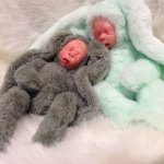 Малыши зайки тедди долл. Авторские игрушки