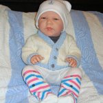 Моя куколка Doro Dolls