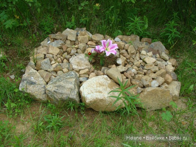 Ну, здравствуй, Челси! Chelsea от Susan Lippl