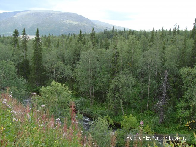 Страна Полуночного Солнца или Большое путешествие Рейчел - II