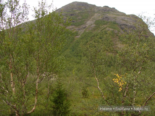 Страна Полуночного Солнца или Большое путешествие Рейчел - II